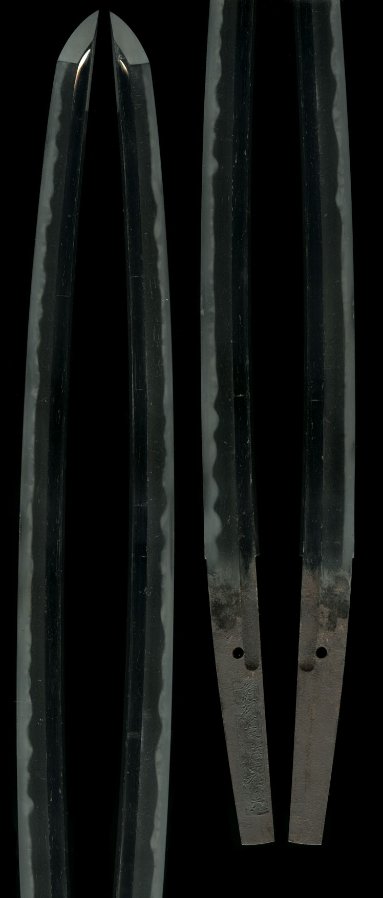 Japanese Sword Satsuma Motohira Wakizashi with High relief lacquer Dragon