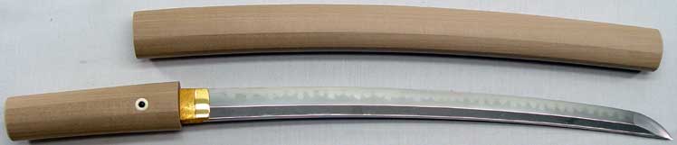 Tadakuni Wakizashi
