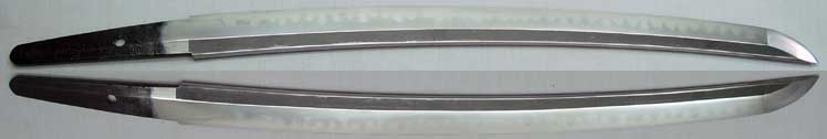 Tadakuni Wakizashi